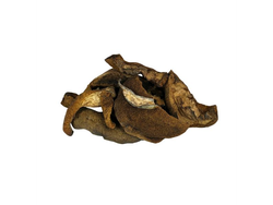 Hongos Secos de Pino x 50g