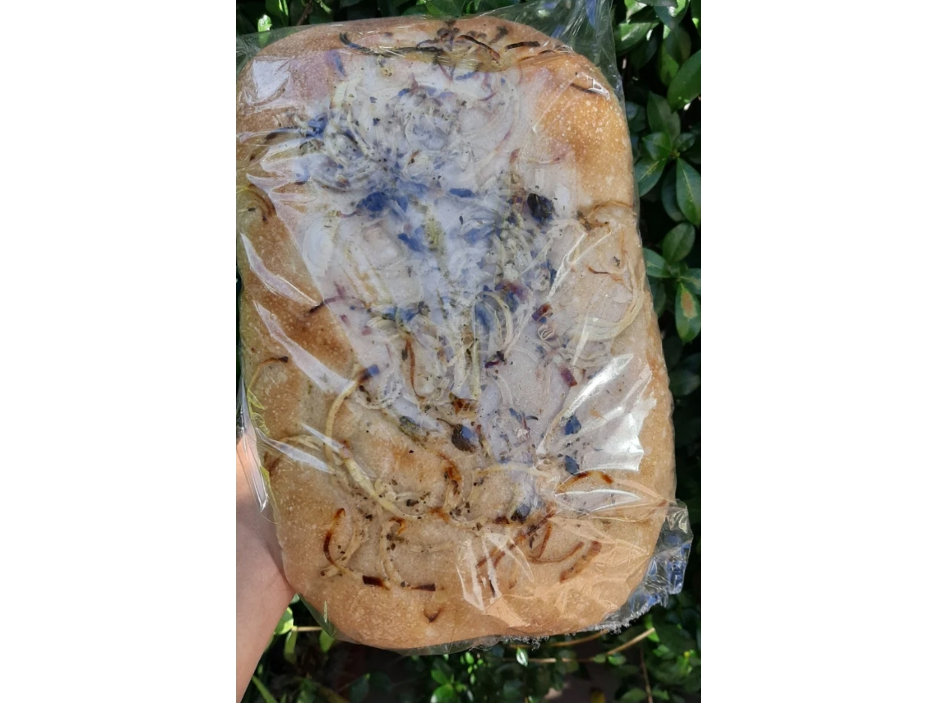 Focaccia de cebolla masa madre