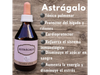 Tintura de Astrágalo x60ml Tierra Viva