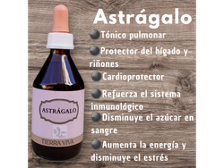 Tintura de Astrágalo x60ml Tierra Viva
