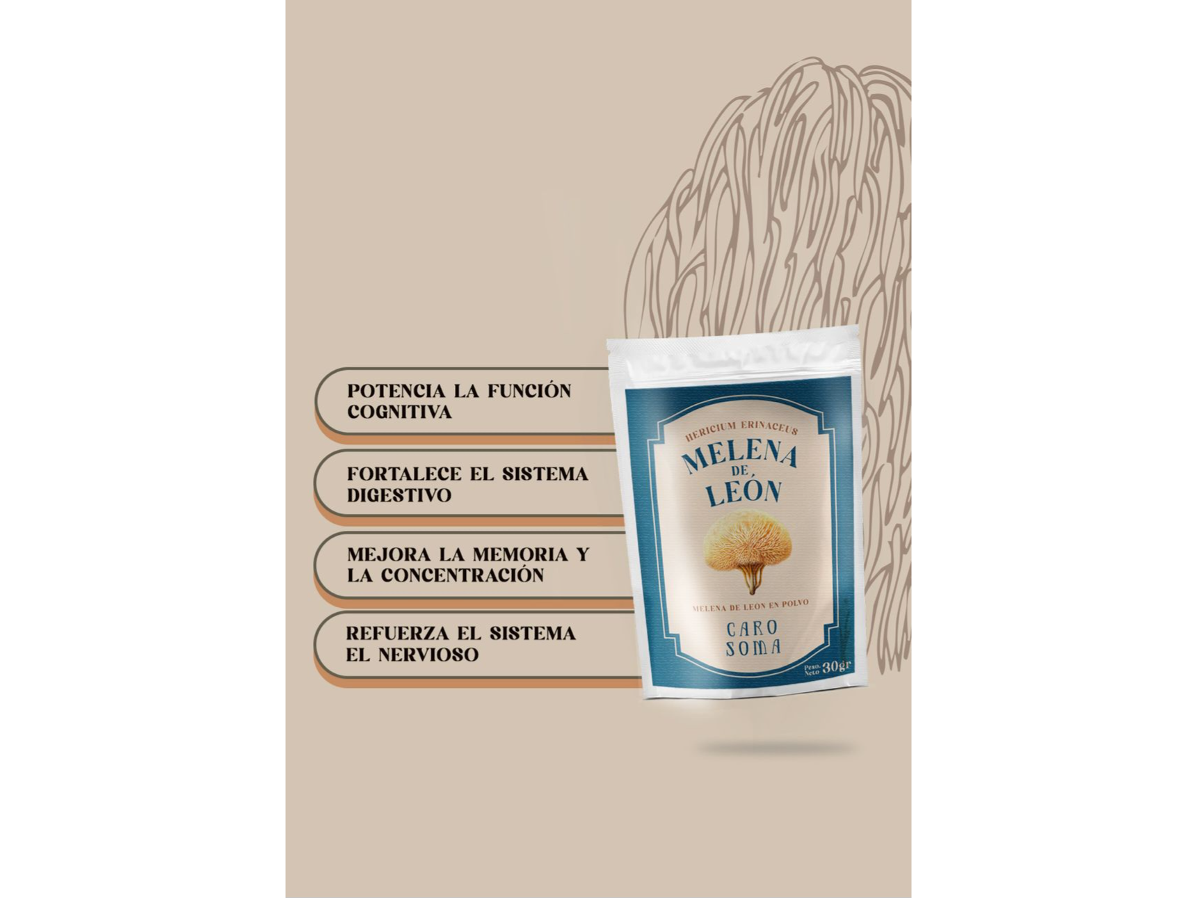 Melena de León polvo x 30g . Carosoma