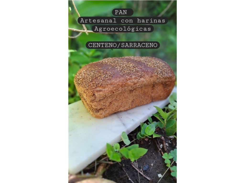 Pan de Sarraceno y Centeno x 650g  Miercoles y Jueves