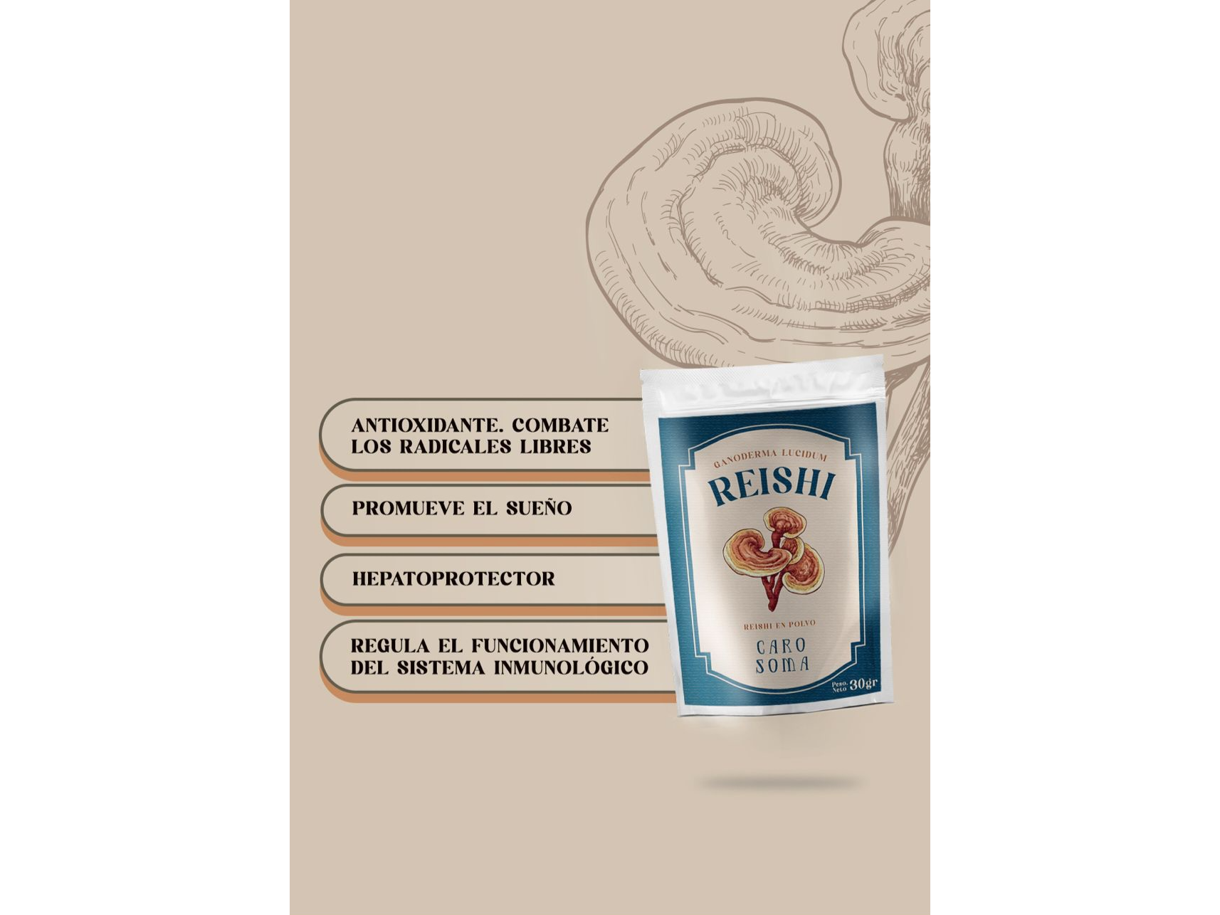 Reishi en polvo x 30g . Carosoma