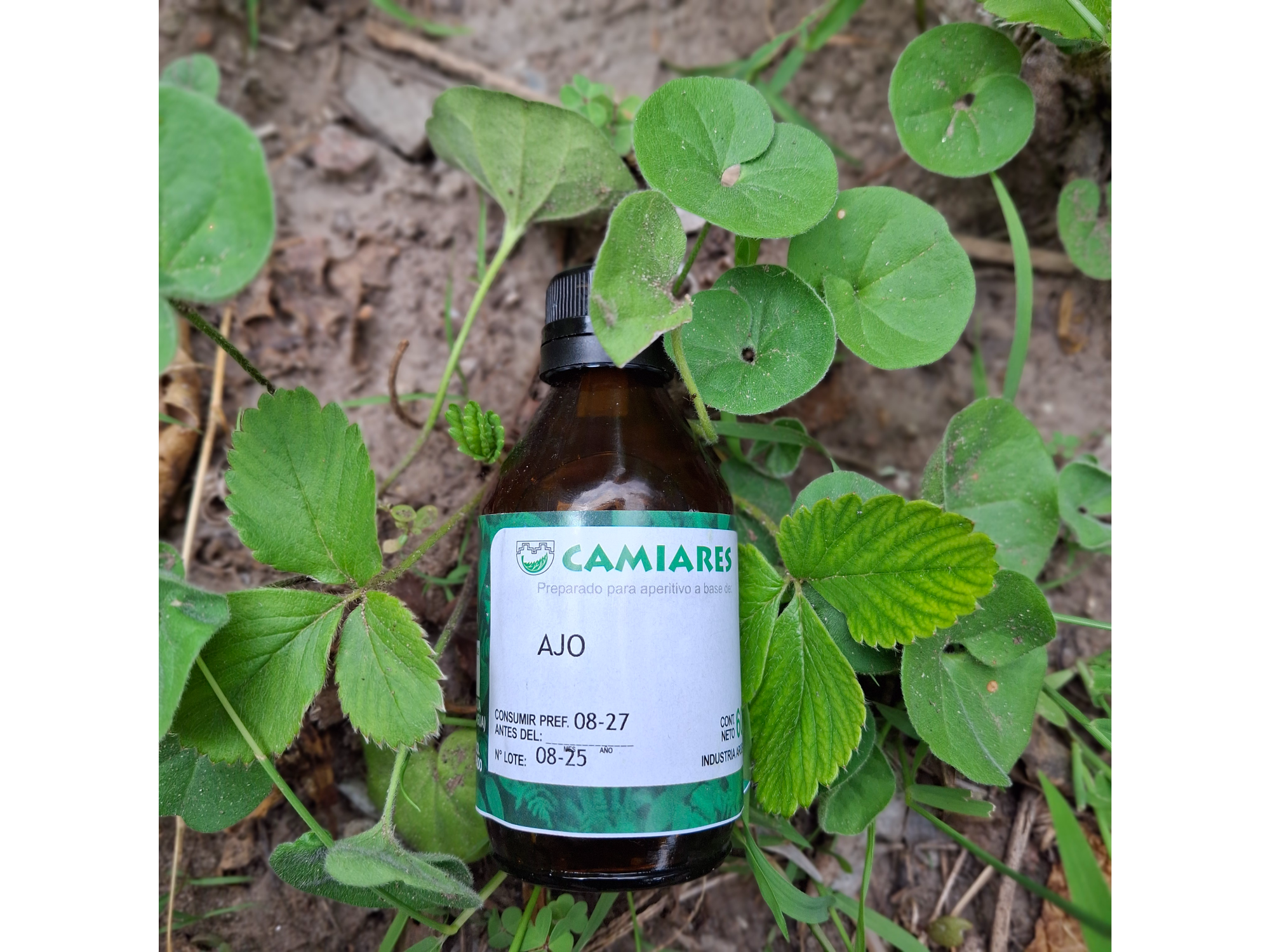 Tintura Madre de Ajo x60cc. CAMIARES