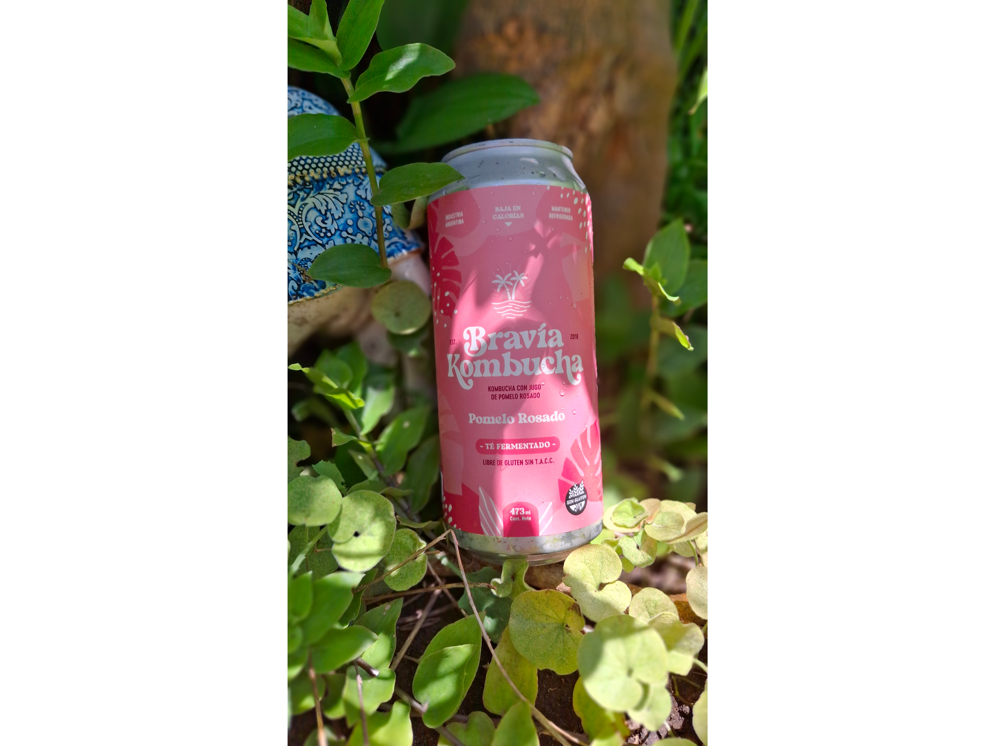 Kombucha de Pomelo Rosado x 470ml . Bravia