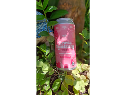 Kombucha de Pomelo Rosado x 470ml . Bravia