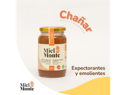 Miel de Monte Chañar x 480g