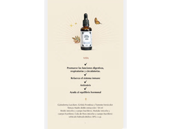 Tintura de Vita x 50ml Caro Soma