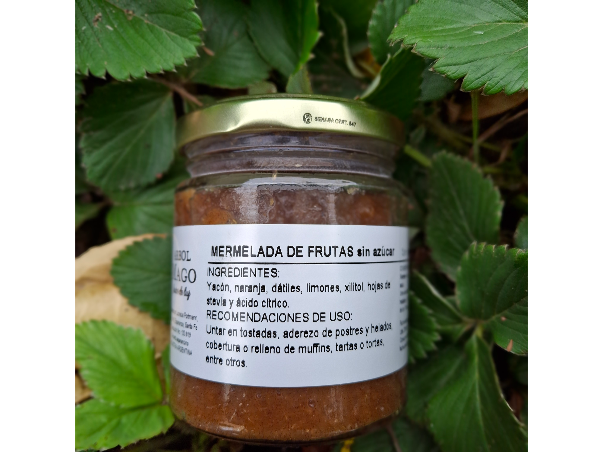 Mermelada de Frutas sina zúcar. Arbol Mago