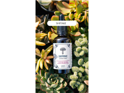 Tintura Madre de Shitake x 50ml . Caro Soma