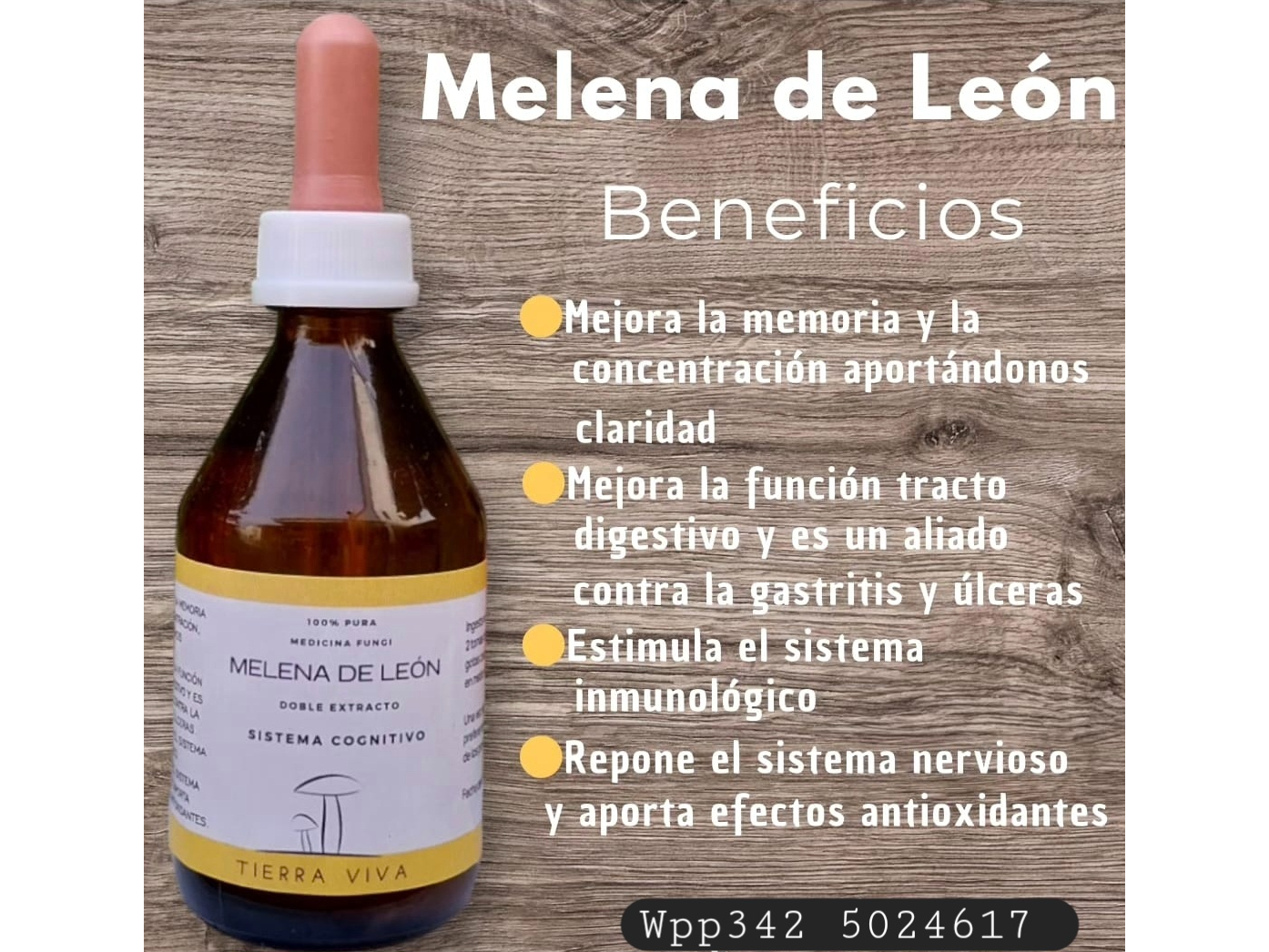 Tintura de Melena de León . Tierra Viva