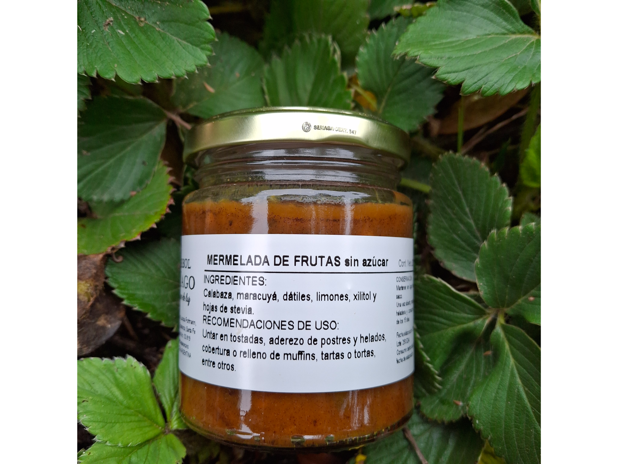 Mermelada de Frutas sin azúcar . Arbol Mago