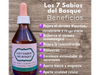 Siete Sabios ( hongos) x 60ml . Tierra Viva