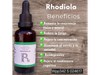 Tintura de Rhodiola x 60ml