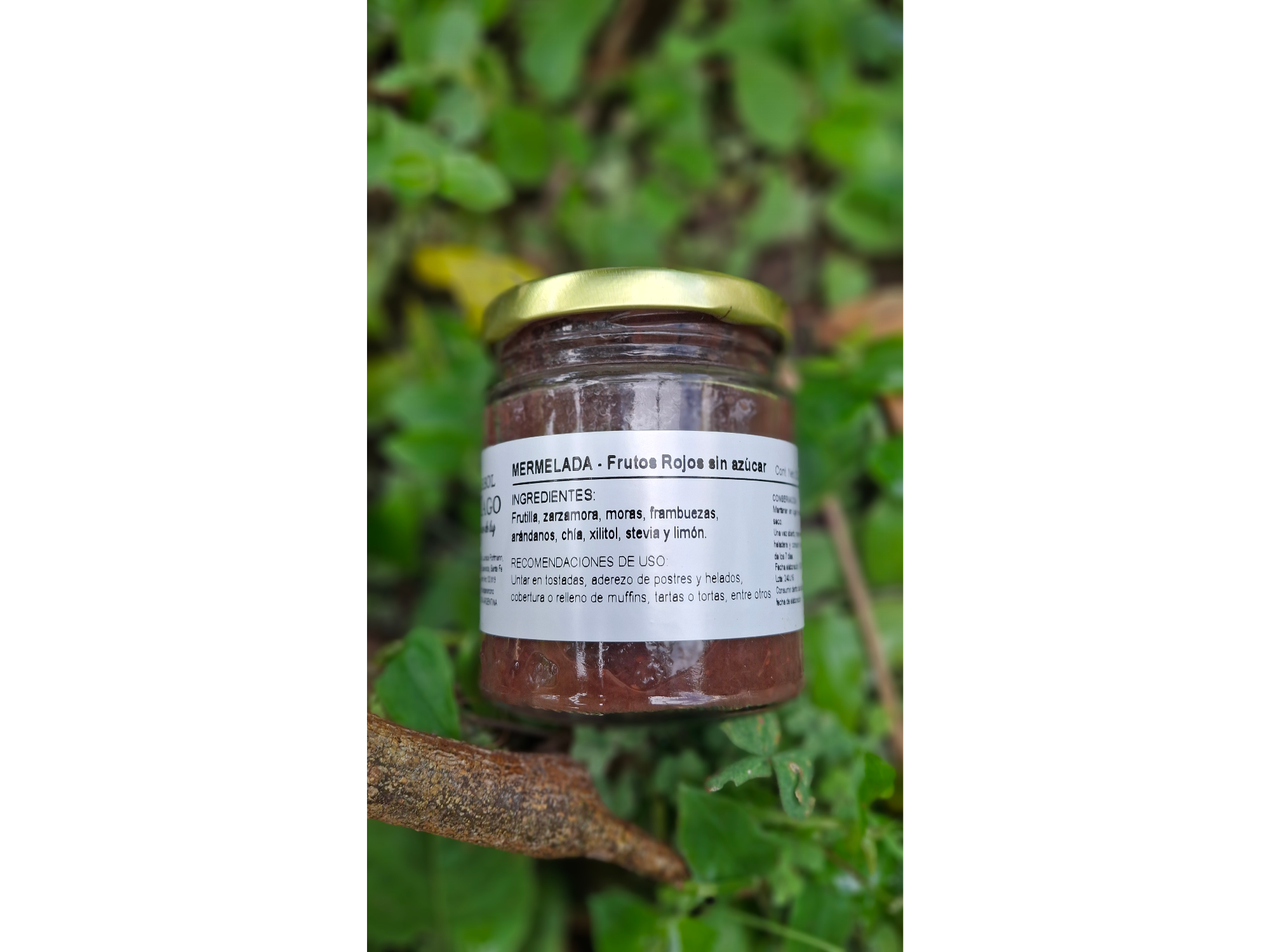 Mermelada de Frutos rojos Sin azúcar x 200cc Arbol Mago