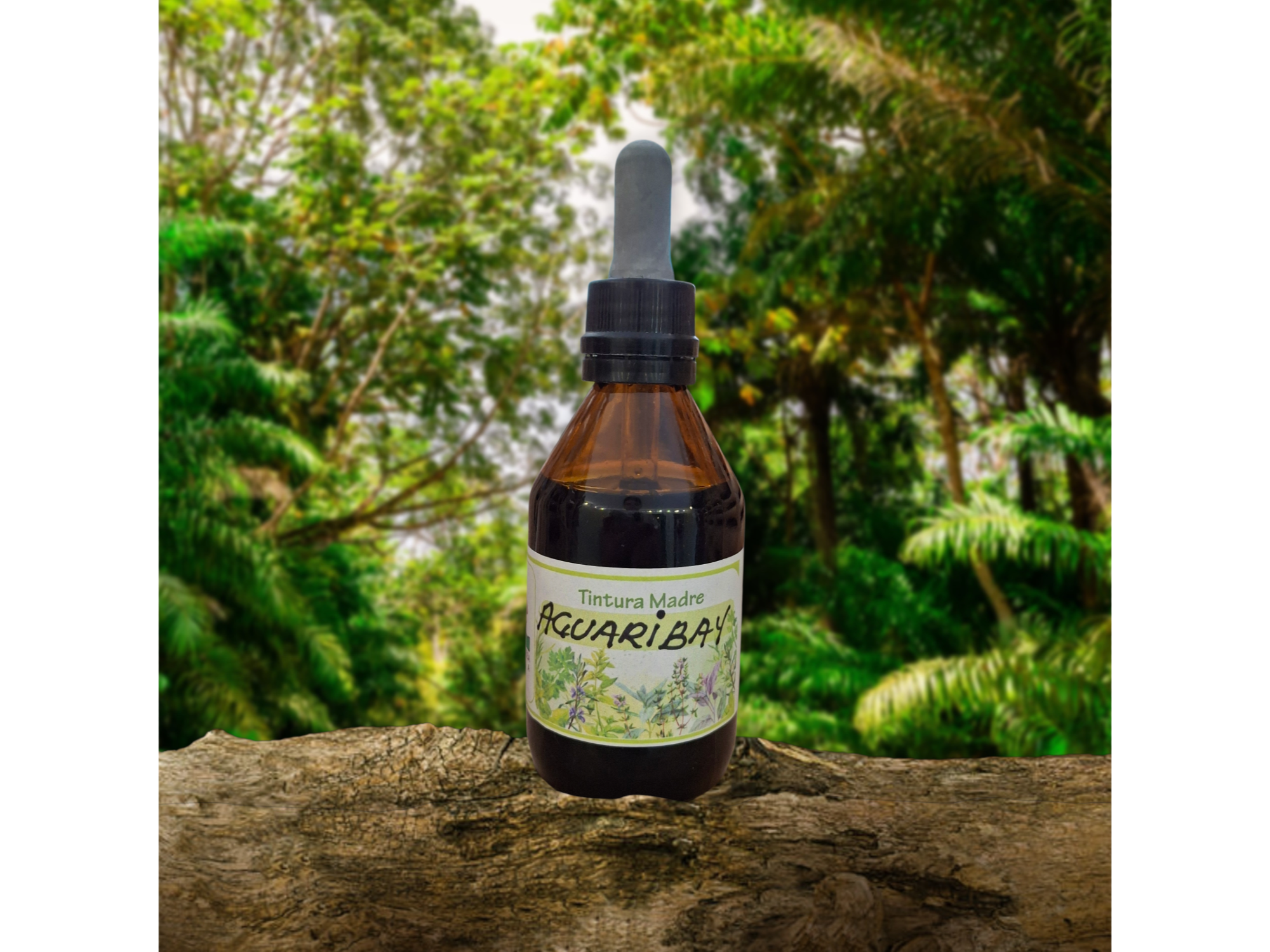 Tintura Madre de Aguaribay x60cc . Naturaleza Viva