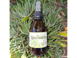 Tintura de Echinacea x 60ml . Naturaleza Viva