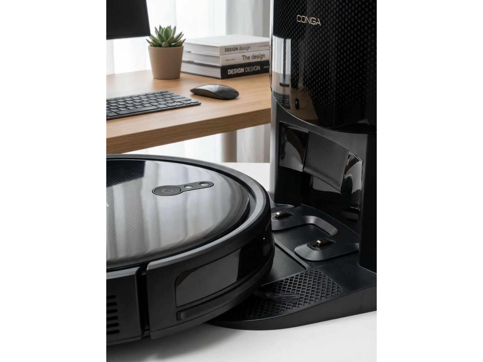 Aspiradora 2 en 1 conga