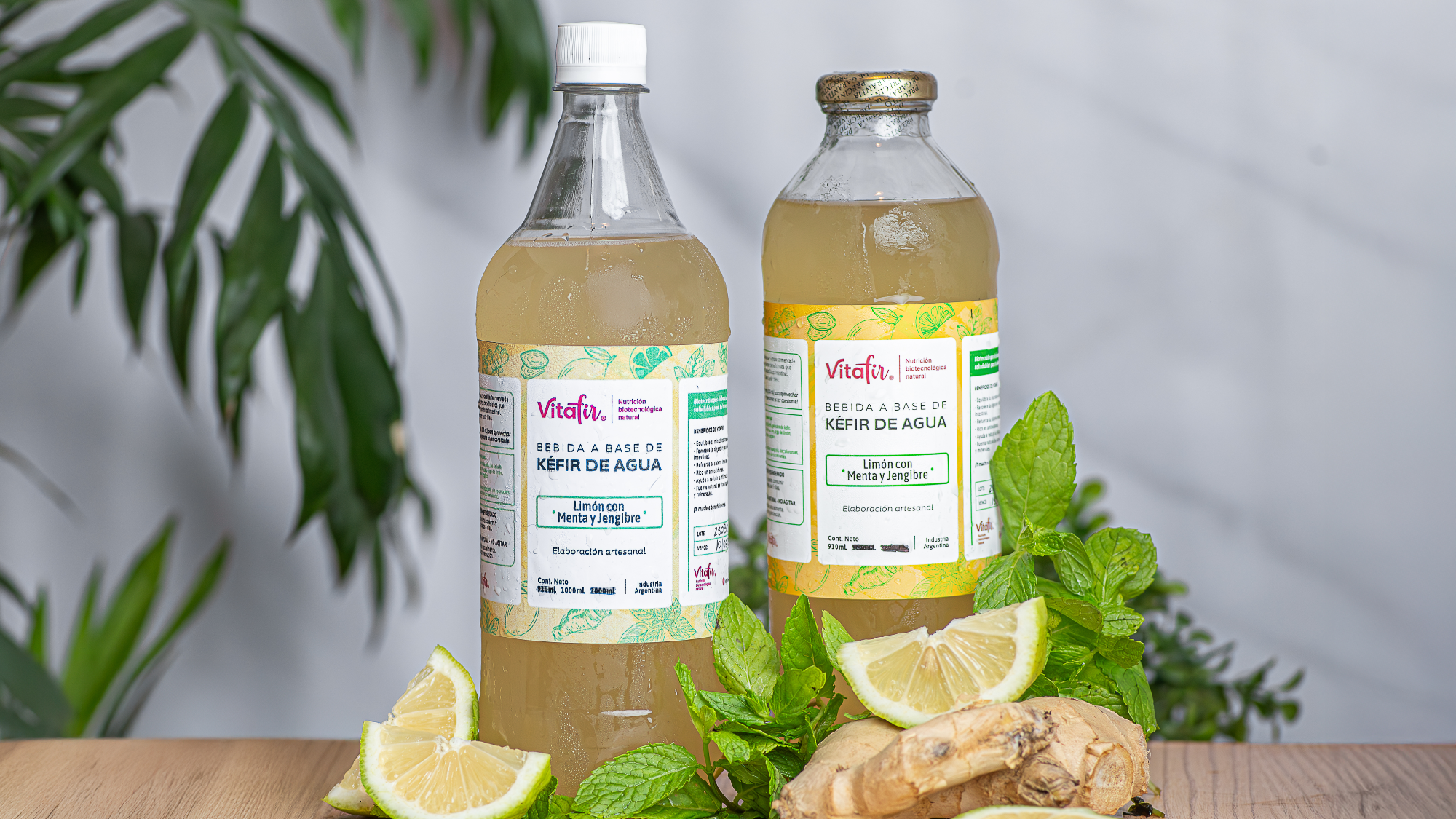 Kéfir de agua