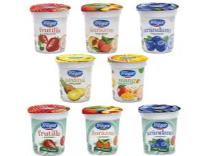 (1636)Yogurt Ent. Frutas Tregar x 160 grs