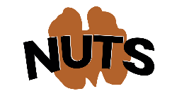Logo Nuts Carlos Paz