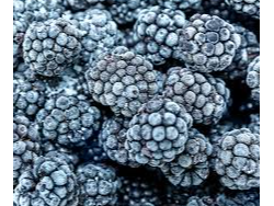 MORAS 1KG