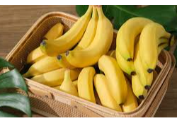 Banana Ecuador