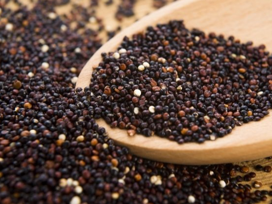 Quinoa Negra