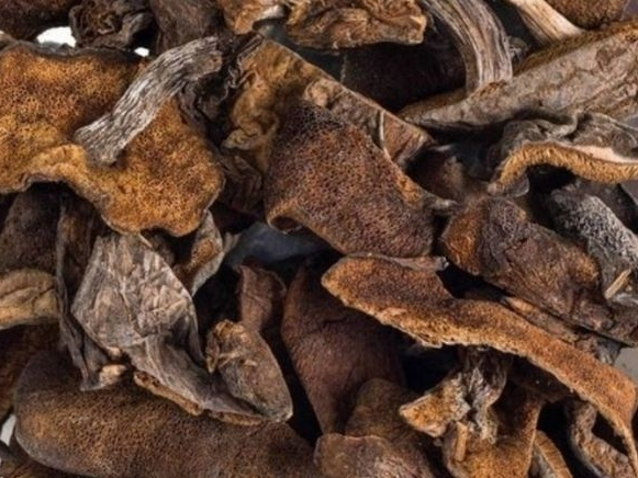 HONGO DE PINO X100GR