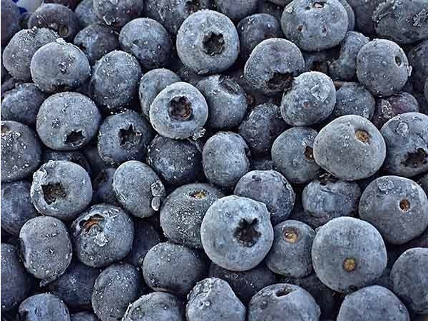 Arandanos