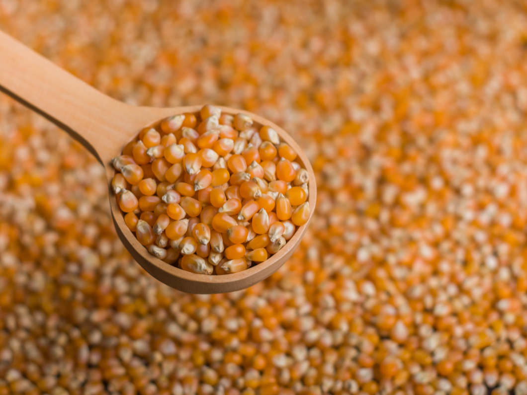 MAIZ PSINGALLO PROMO POR KILO