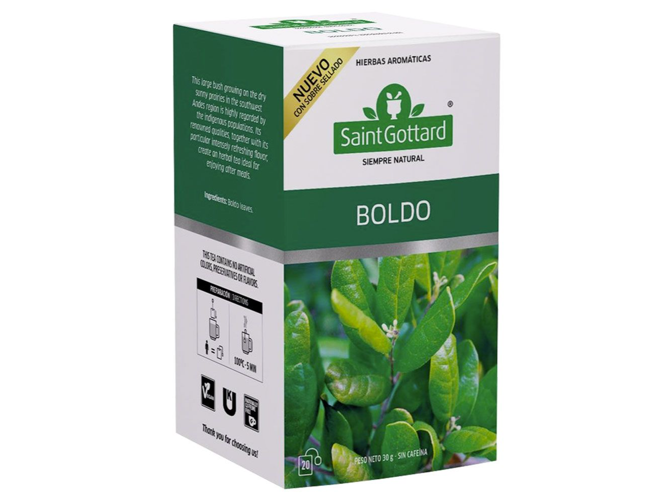 TE BOLDO SAINT GOTTARD