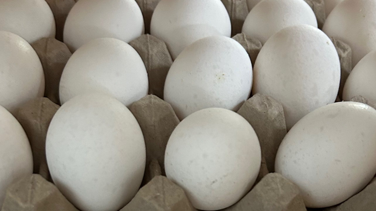 Huevos , carbón y leña