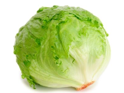 Lechuga repollada