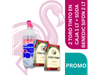 2 TORO TINTO EN CAJA 1 LT + SODA BENEDIC SIFON 2 LT