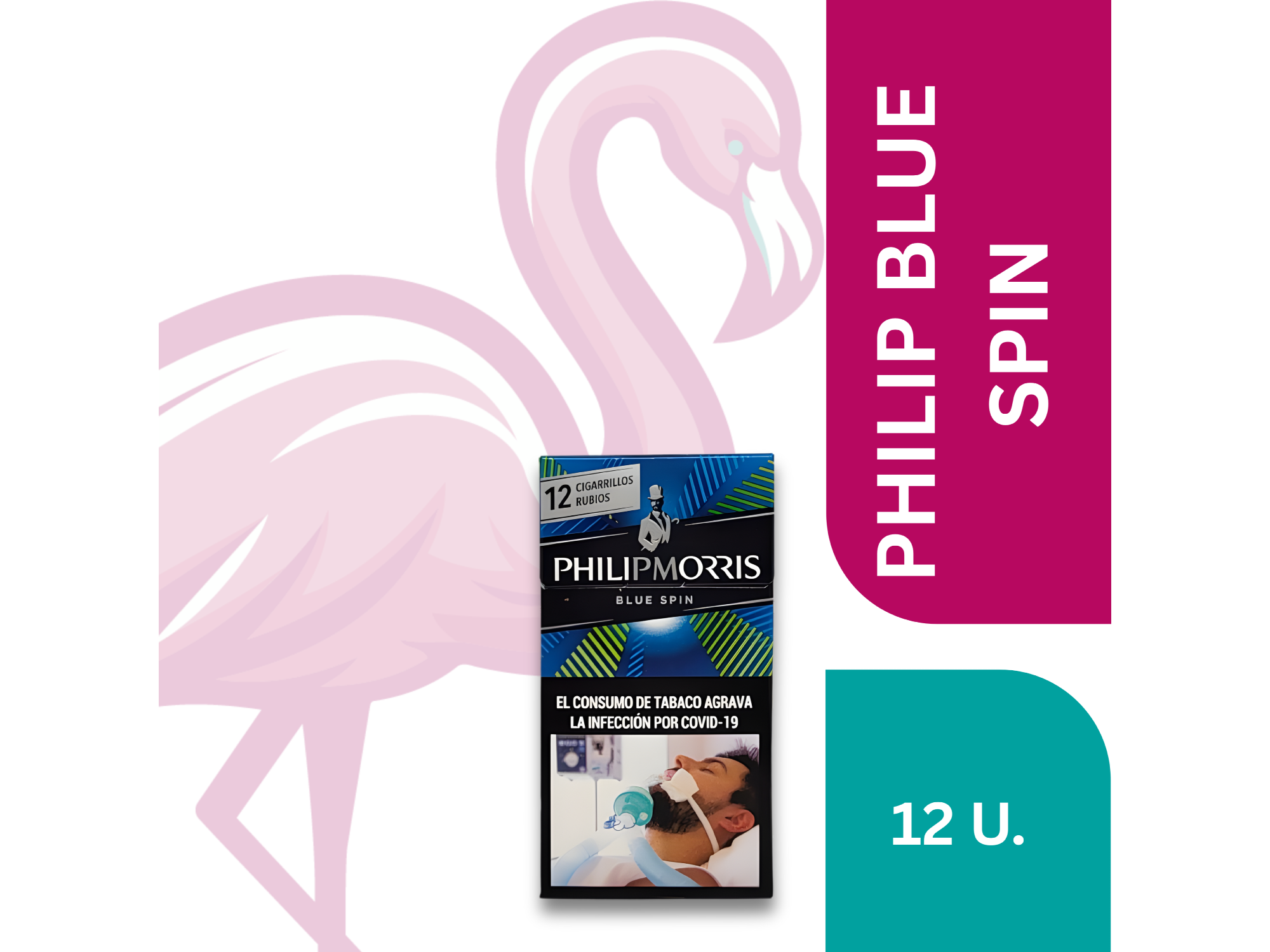 PHILIP 12 BLUE SPIN CONVERTIBLE BOX