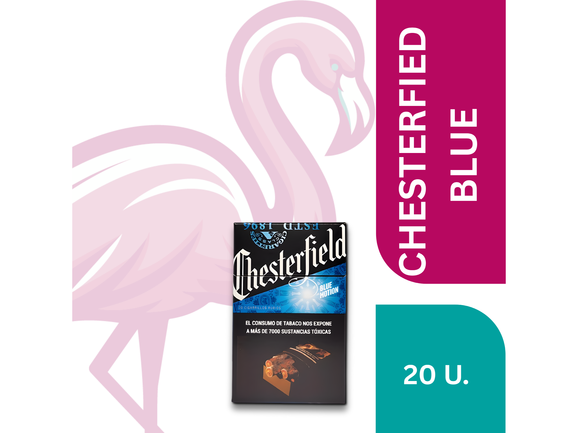 CHESTER 20 CONVERTIBLE (BLUE MOTION) BOX