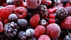 Congelados