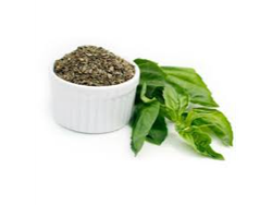 Albahaca