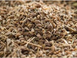 Anis en grano