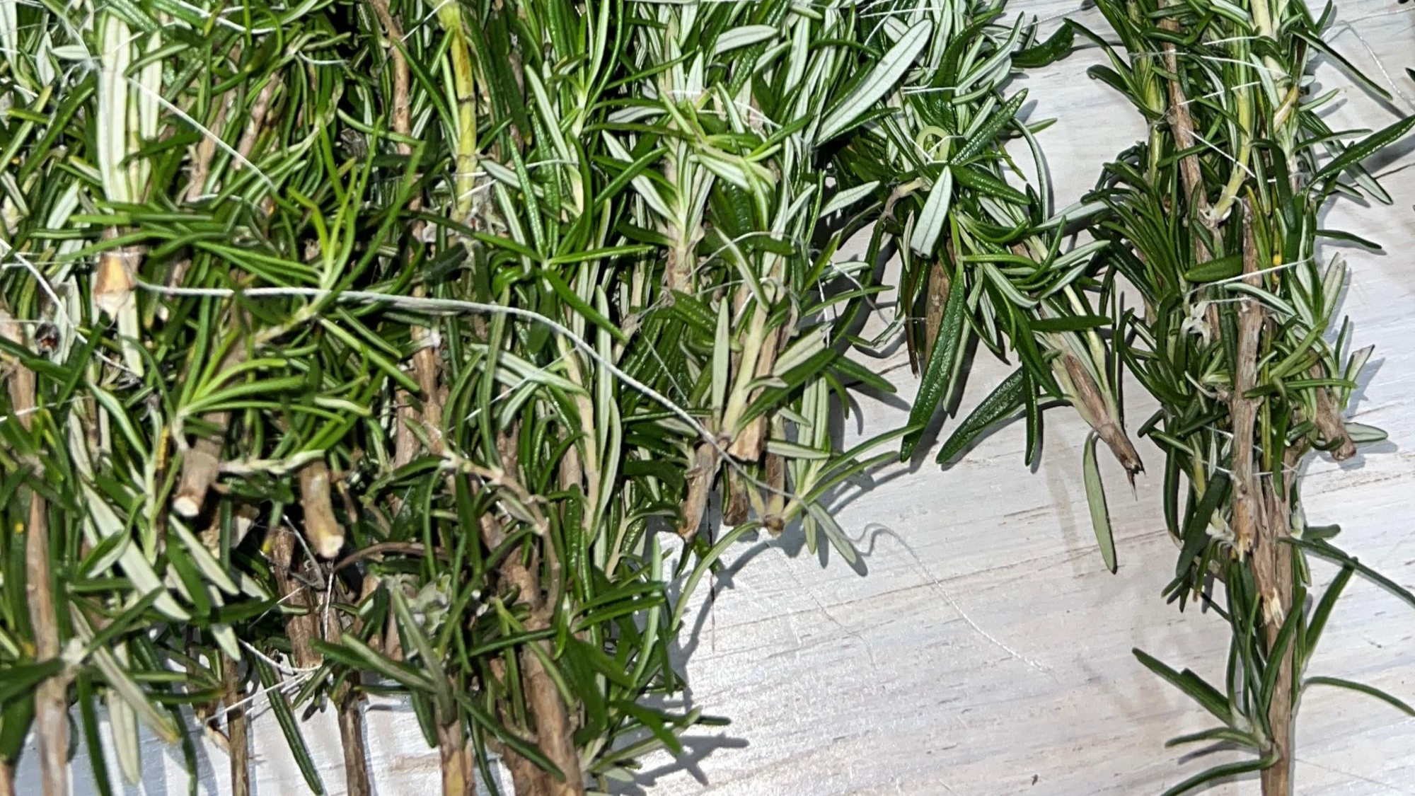 HIERBAS MEDICINALES