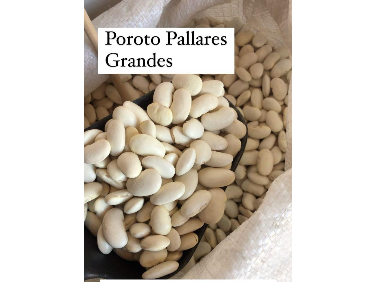 POROTO PALLARES GRANDE