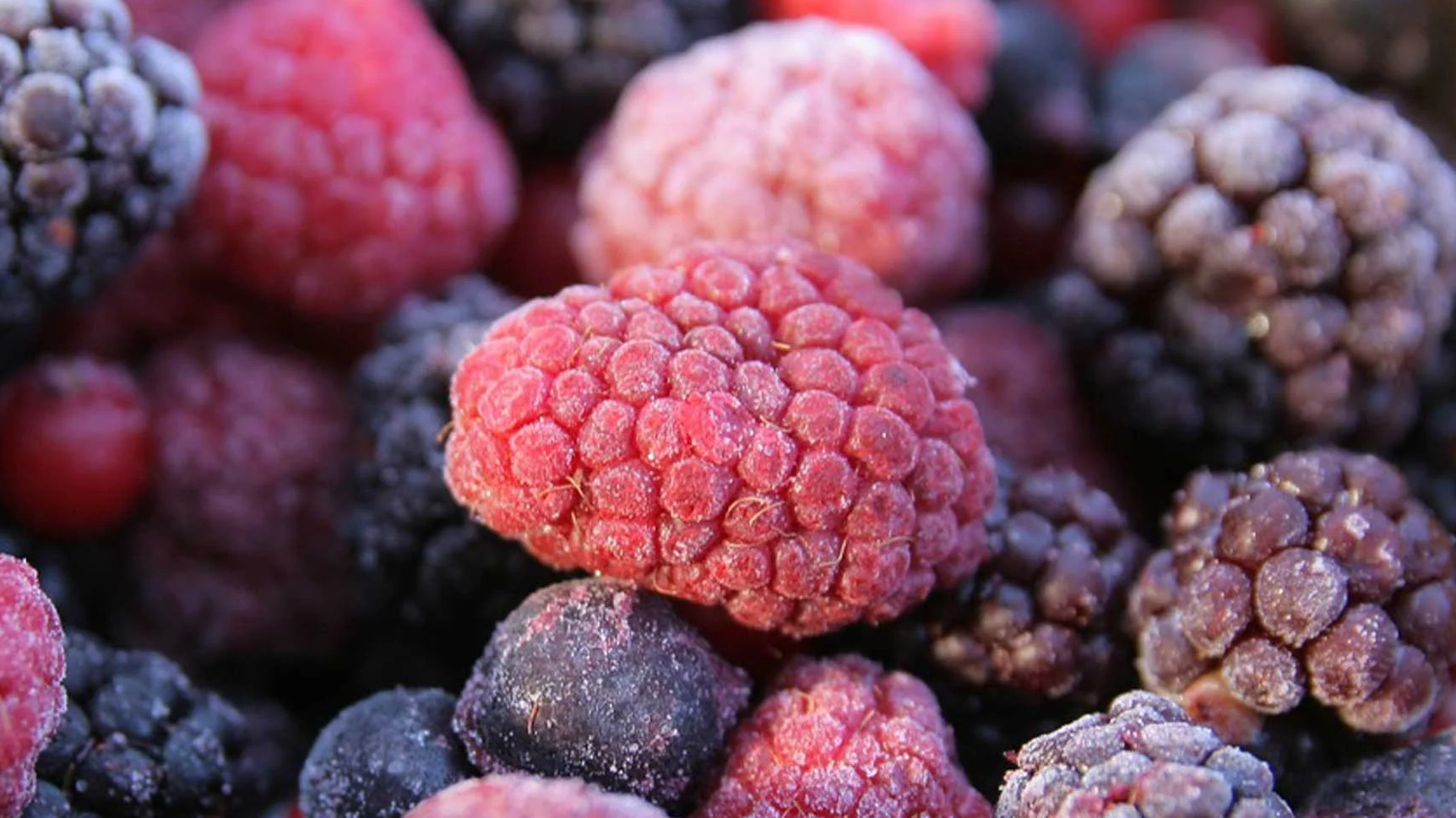 Congelados - UNICAMENTE VENTA EN EL LOCAL