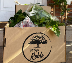 Logo El Viejo Roble