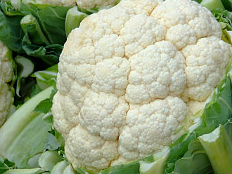 Coliflor