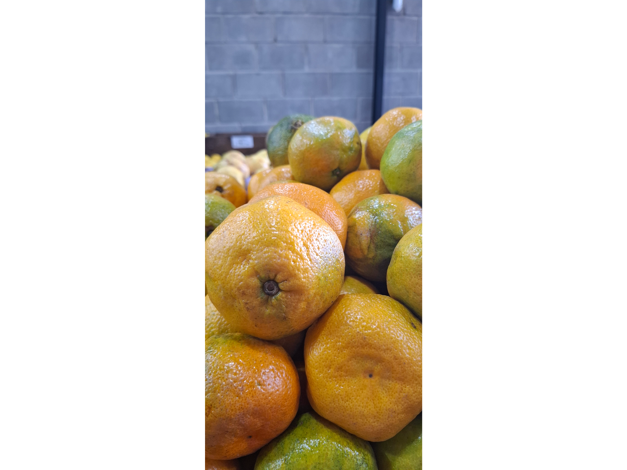 Mandarina 2kg