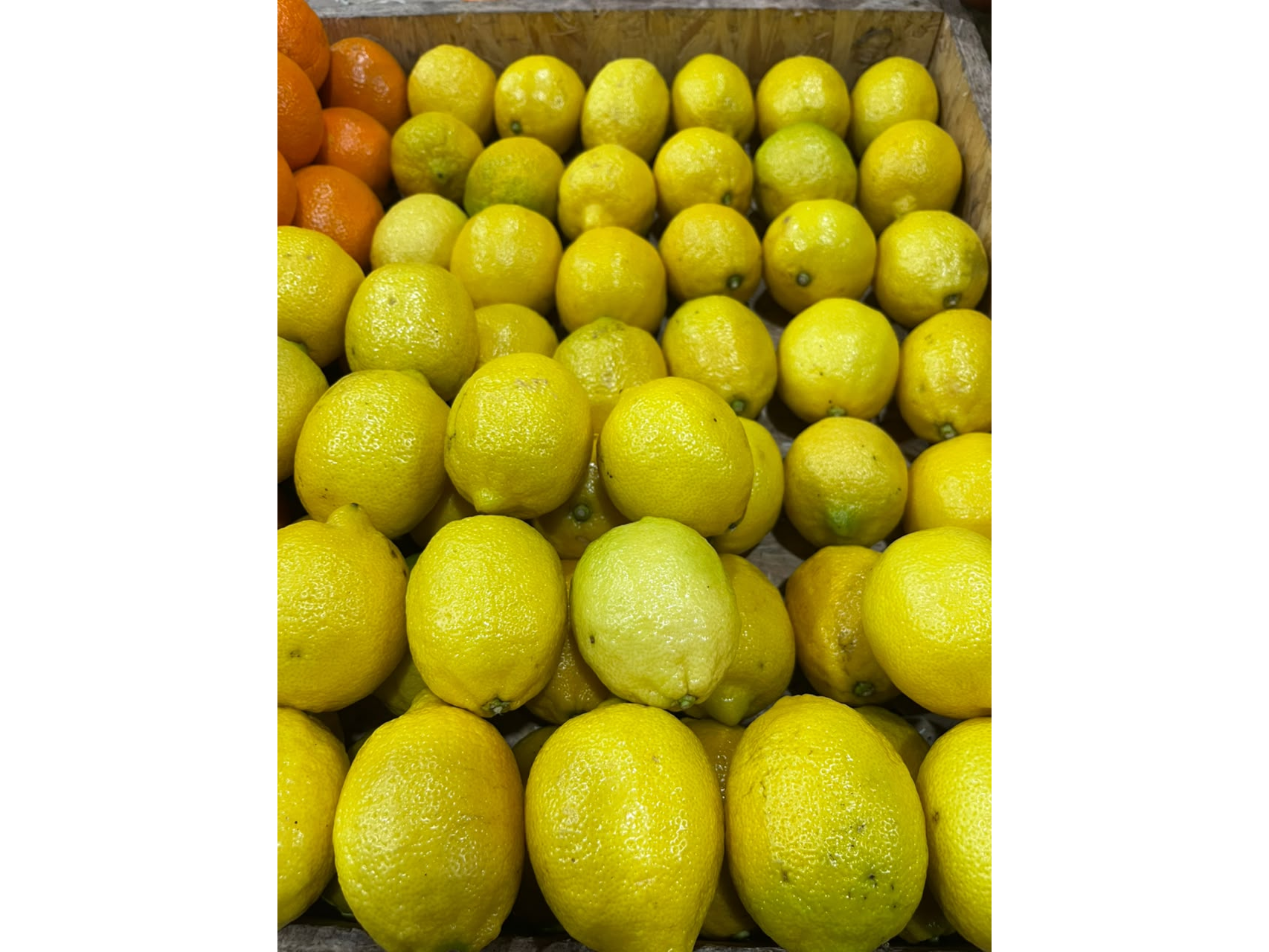 Limon x 2kg + 250 jengibre + atado menta