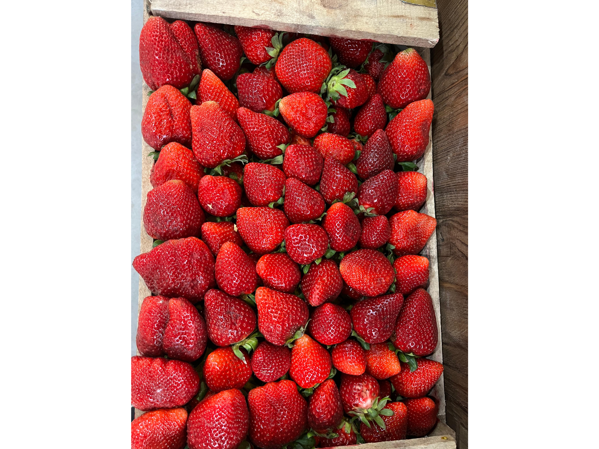 Frutilla cajón 5kg