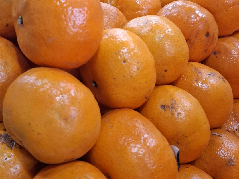 Mandarina Murcott