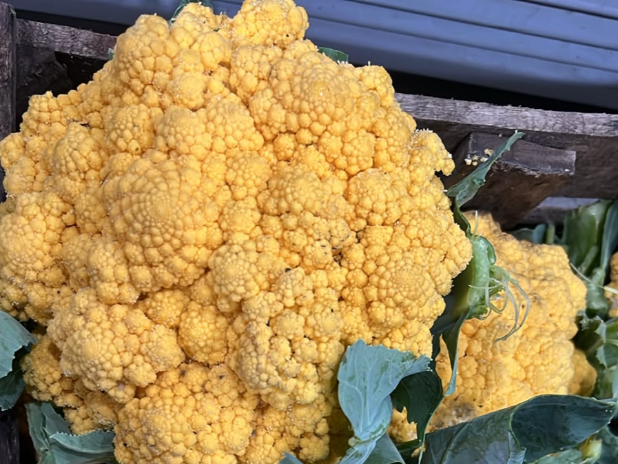 Coliflor amarillo